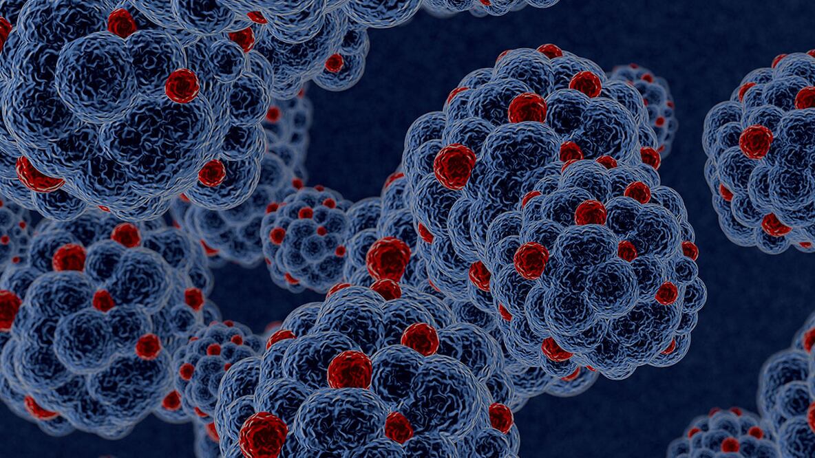 VIH: las lecciones de otro virus