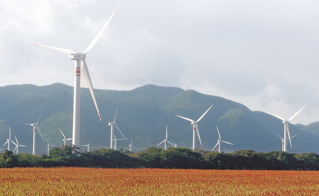 Foto: Archivo El Universal