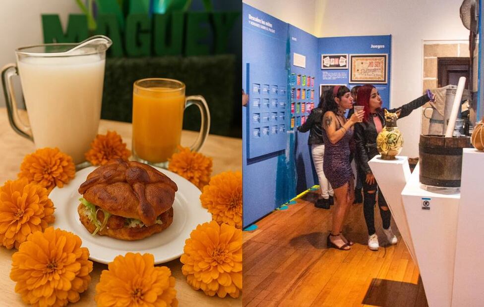 Fotos: Pulquería Panana y MUPYP