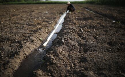 Sequía, pesadilla costosa en El Salvador
