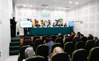 Rescatistas solicitan más apoyos para fortalecer los refugios animales; piden políticas públicas contra el abandono animal