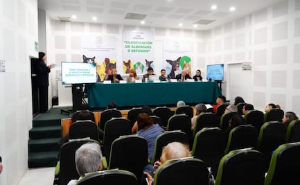 Rescatistas solicitan más apoyos para fortalecer los refugios animales; piden políticas públicas contra el abandono animal