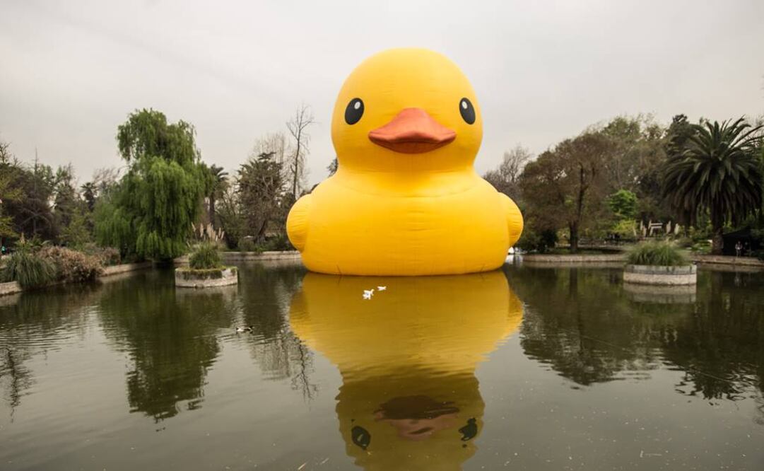 FOTO: Jorge Villegas/Xinhua.