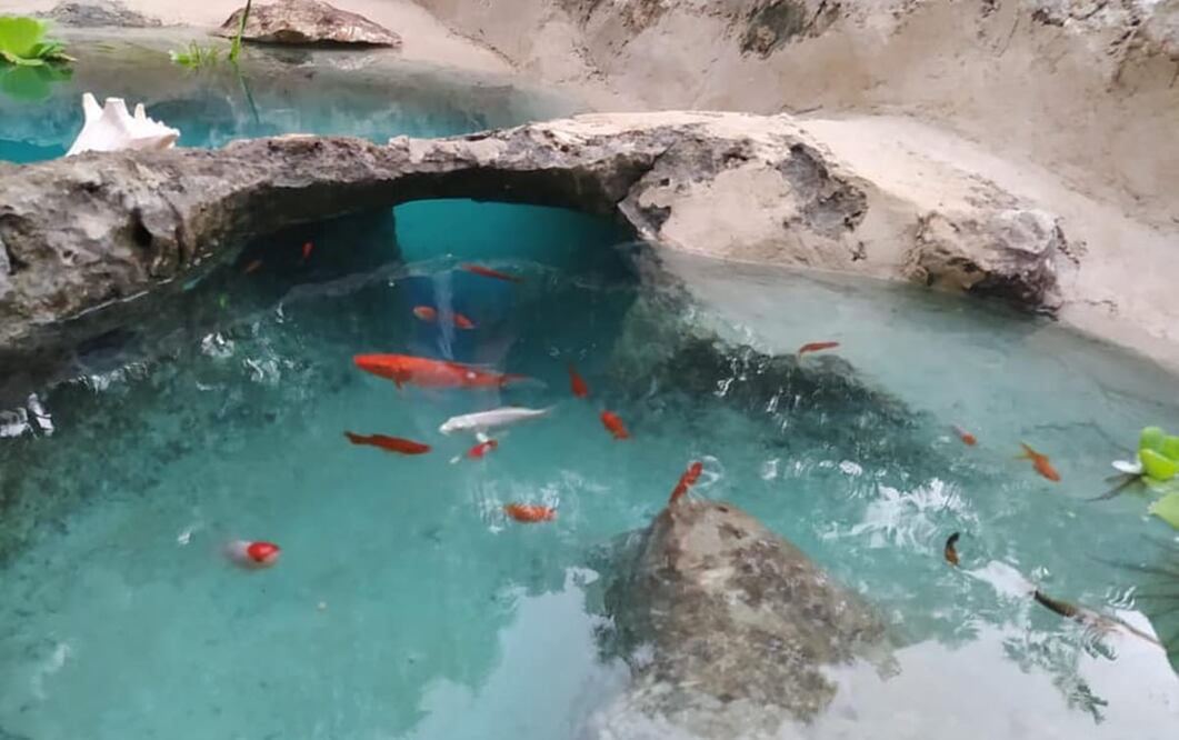 A este tipo de cavidades pequeñas se les denomina “jaltún”. Foto: Facebook Emanuel Chay