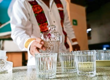 Corte desecha controversia constitucional contra NOM para producir mezcal