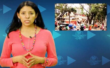 Pide IP transparencia en reconstrucción