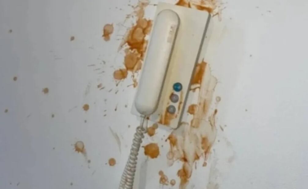 Mujer conoce a un hombre en Tinder, lo deja y él decide vengarse destruyendo su casa 