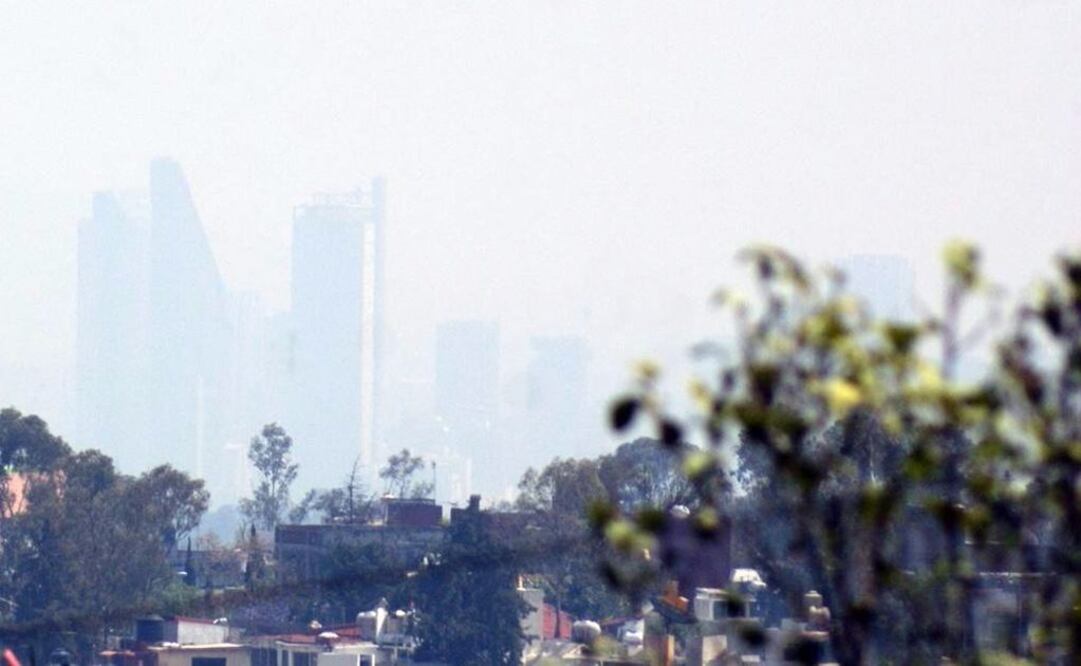 IP y PAN piden acciones a largo plazo contra polución