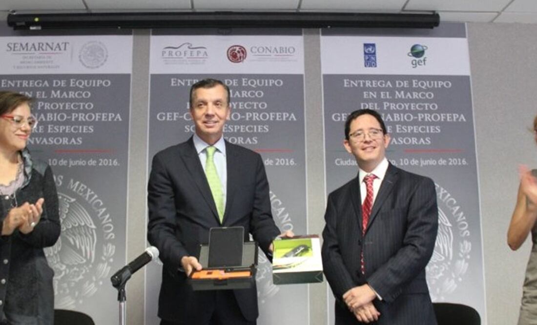 Imagen tomada del Twitter de la Profepa