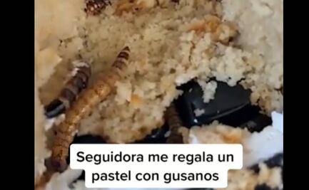 Fan le regala pastel con gusanos a influencer 