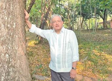 Busca AMLO pacto migratorio a través de Sembrando Vida