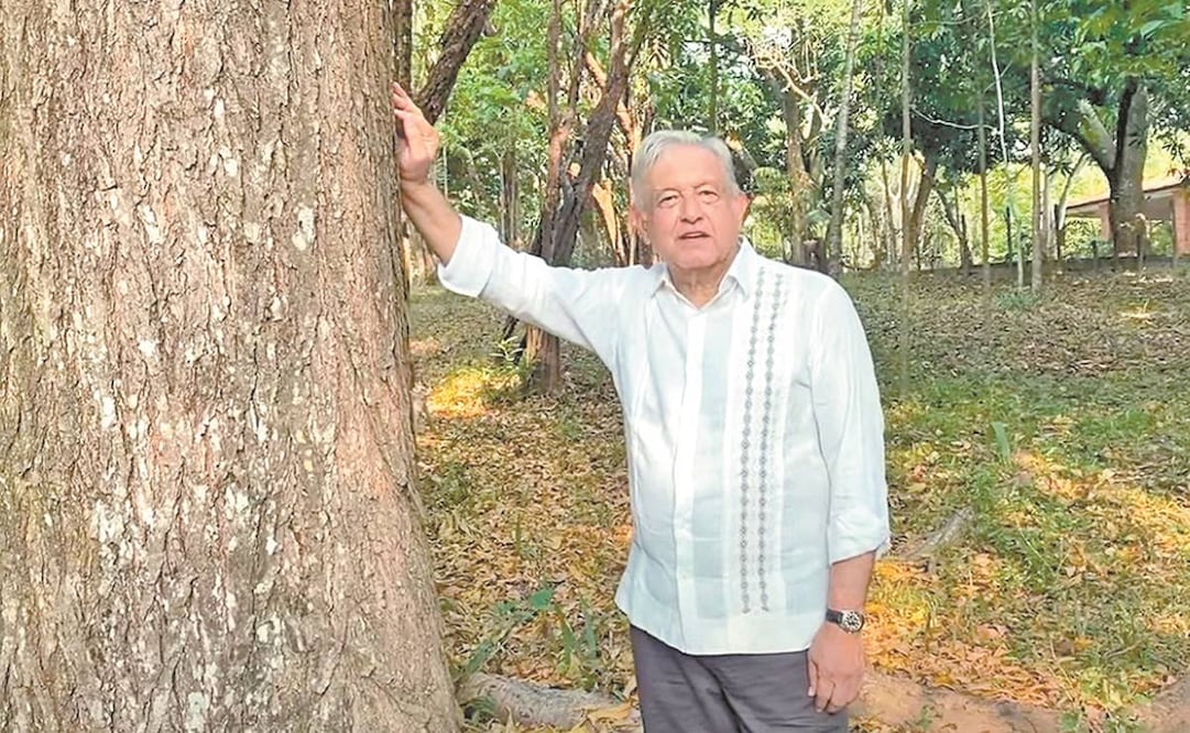 Desde su finca en Chiapas, el Presidente detalló lo que propondrá en la Cumbre de Líderes Climáticos de este jueves. Foto: Tomada de video