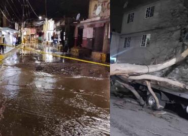 Lluvias en CDMX causan encharcamientos y caída de árboles afectando varias alcaldías