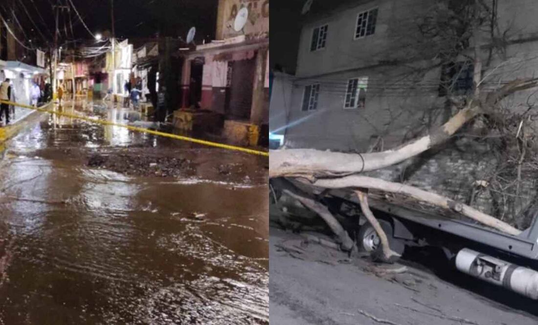 Encharcamientos, inundaciones y caída de árboles por lluvias en la CDMX. Foto: Especial