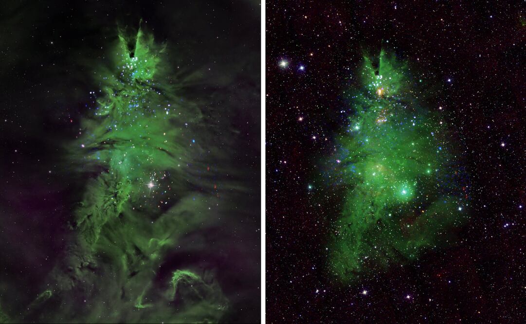 Foto: Captura de pantalla en X