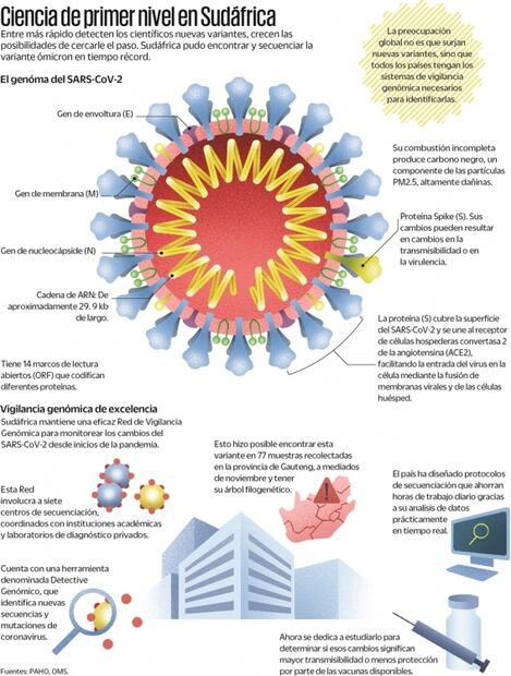Esta fue la clave para detectar la variante ómicron