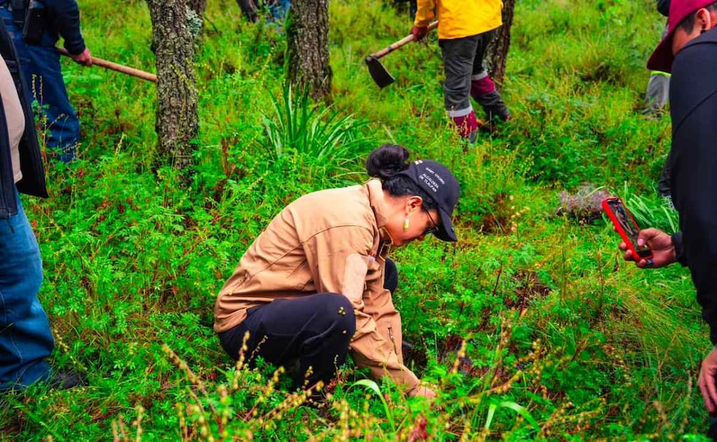 Tlalpan se suma a la reforestación nacional con plantación de más de 20 mil ejemplares.
Foto: Especial.