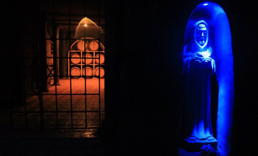 Recorridos para conocer los viñedos y cavas más importantes en la región. (Foto: Archivo El Universal)