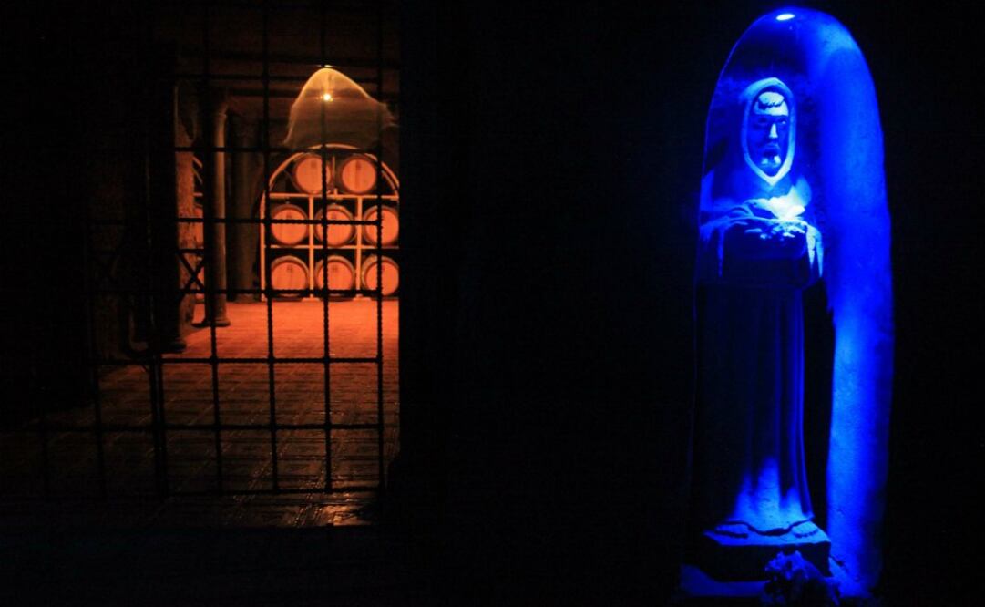 Recorridos para conocer los viñedos y cavas más importantes en la región. (Foto: Archivo El Universal)