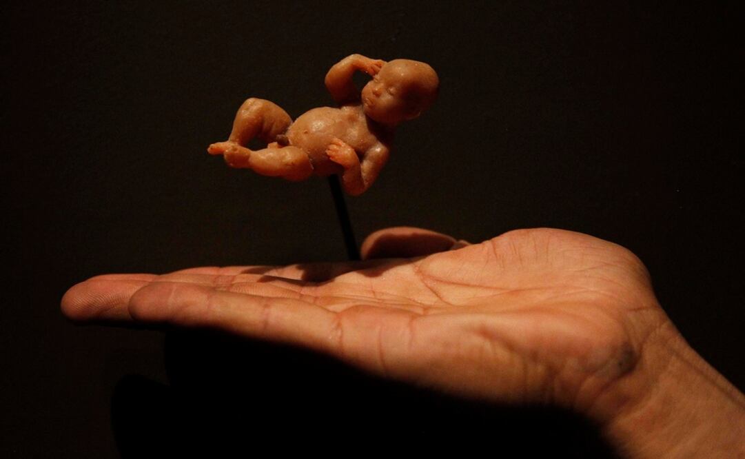 En la imagen, las obras: "Cabeza de hombre No" (izq. arriba), "Cabeza de mujer I,II y III" (izq. abajo), "Hombre positivo y negativo" (centro), "Mujer varillas" (der. arriba) y "SIETE (Barbudo III)". FOTO: Ariel Ojeda/ EL UNIVERSAL