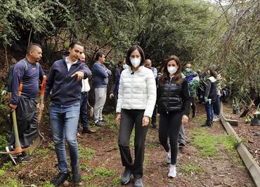 Lía Limón dice que no permitirá construcciones en barrancas de Álvaro Obregón