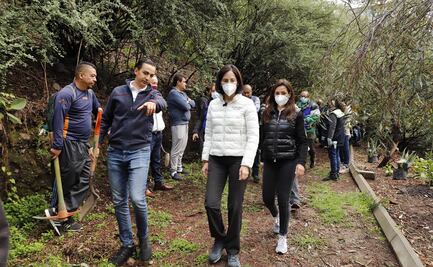 Lía Limón dice que no permitirá construcciones en barrancas de Álvaro Obregón