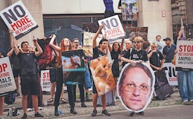 Derechos legales de las mascotas: cambio de percepción