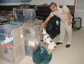 Cuba proclamó “tolerancia cero” con el narcotráfico