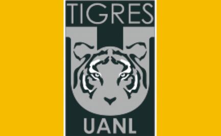 Los tres candidatos para dirigir a los Tigres