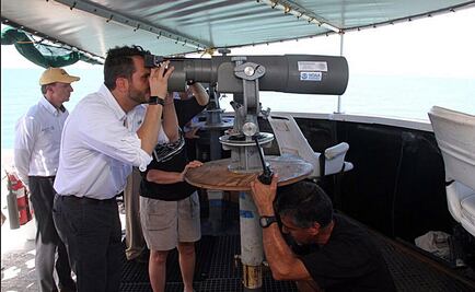 Ven señales de recuperación de vaquita marina