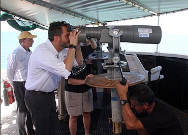 Ven señales de recuperación de vaquita marina