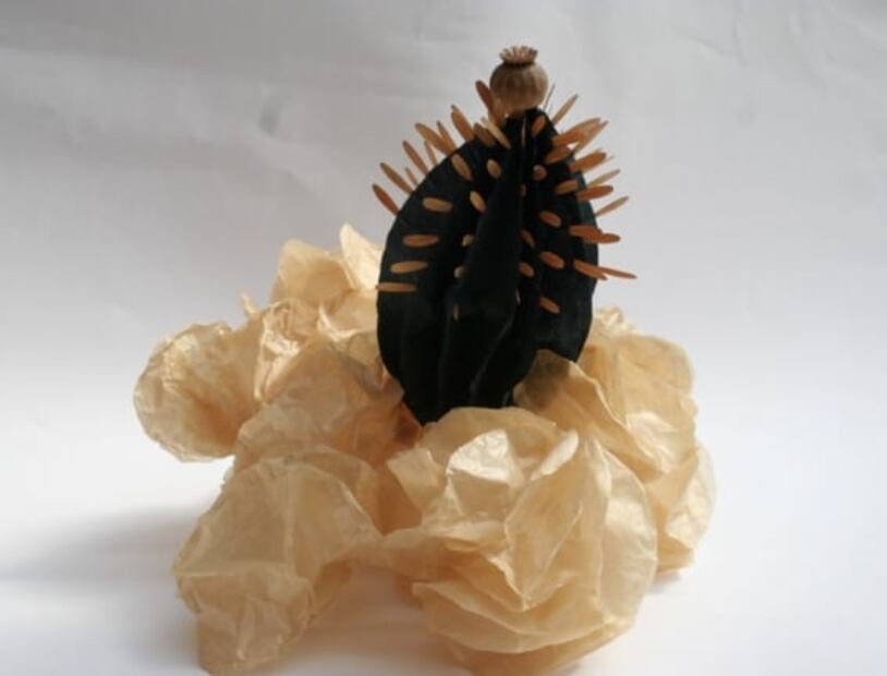 "Orgánico artificial", de Maribel Portela, llega al Museo del Chopo