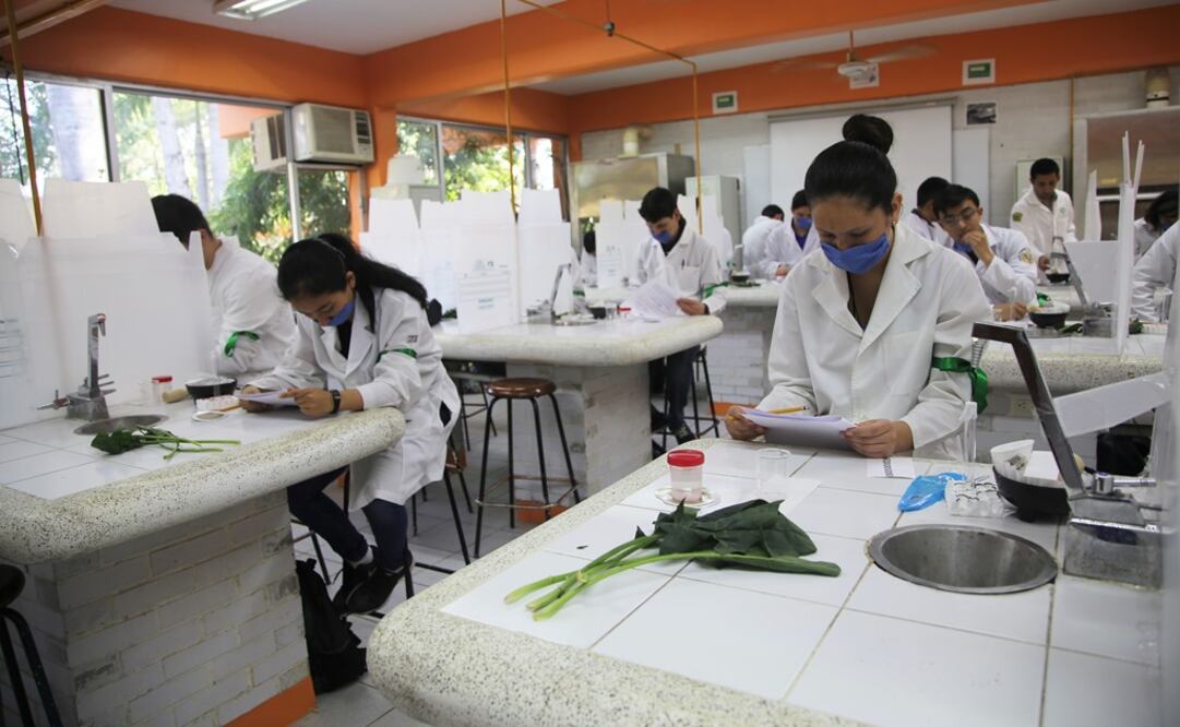 Entre los programas que se han suspendido se encuentran las actividades de divulgación: “Domingo de la ciencia”, “La ciencia en tu escuela” . Foto: Academia Mexicana de Ciencias