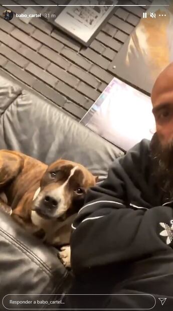 Roban camioneta y mascota de Babo, líder de Cartel de Santa; atrapan al ladrón