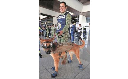 “Solidaridad pone en alto a México”