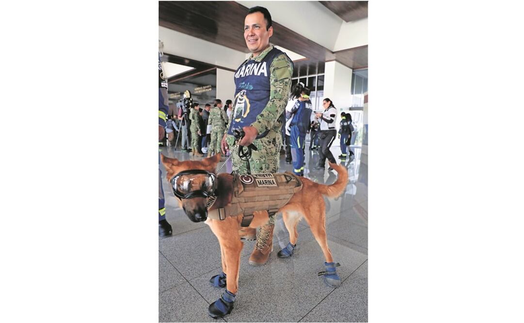 Entre aplausos y el ladrido de perritos se llevó a cabo la ceremonia de reconocimiento al equipo de rescate de la Marina. Foto: Juan Botes / EL UNIVERSAL
