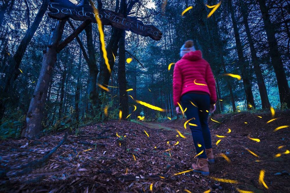 Foto: Canto del Bosque