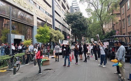Acusan a Brigada Animal de la SSC; activistas denuncian omisión en casos de maltrato en CDMX