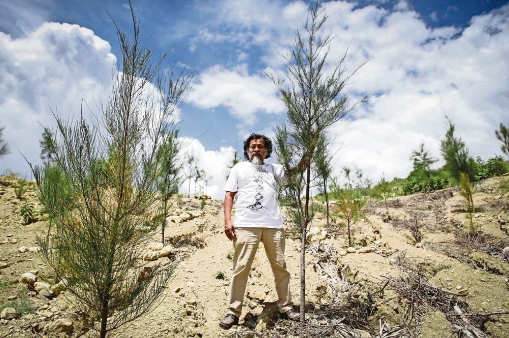 El objetivo del programa Sembrando Vida es plantar árboles frutales y maderables en un millón de hectáreas en zonas con escasez de áreas verdes. (ARCHIVO EL UNIVERSAL)