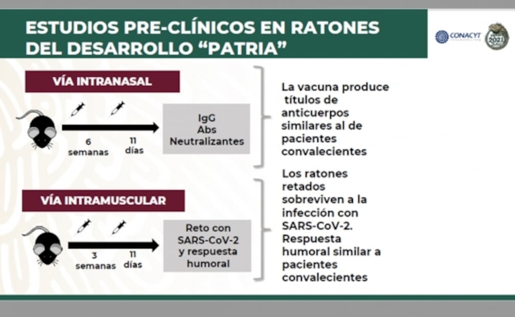 El "ABC" de la vacuna mexicana "Patria" contra Covid-19