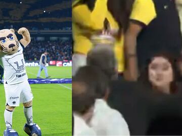 Pumas busca a sujeto que golpeó a una mujer en el juego ante América