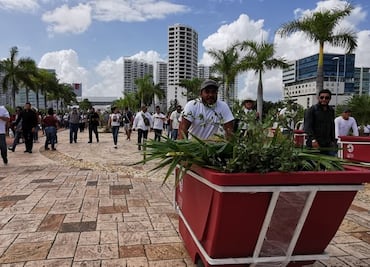 Reabren vialidad a Malecón Tajamar: inician mantenimiento y limpieza