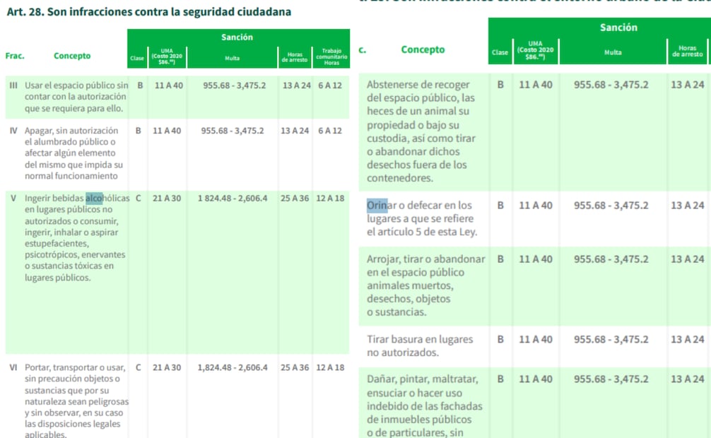 Foto: Captura de pantalla en PDF Gobierno de México
