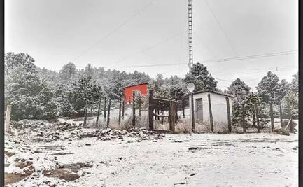 Registran caída de nieve en localidad de El Vergel, Chihuahua
