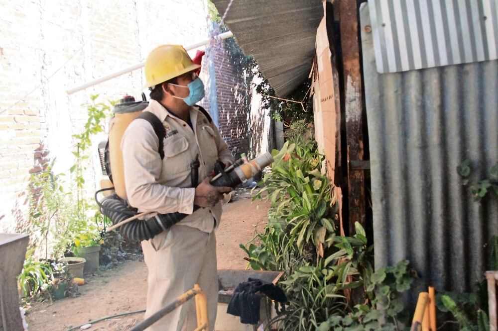 Hasta el 1 de abril se registraron 151 casos, de los cuales 54 son por dengue no grave; 89 por dengue con signos de alarma y ocho por dengue grave. Foto: Archivo