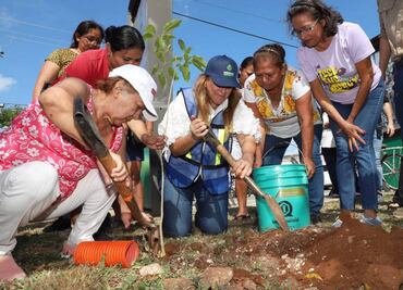 Gobierno de Mérida invita a participar en Cruzada Forestal 2025; buscan plantar más de 8 mil 500 árboles
