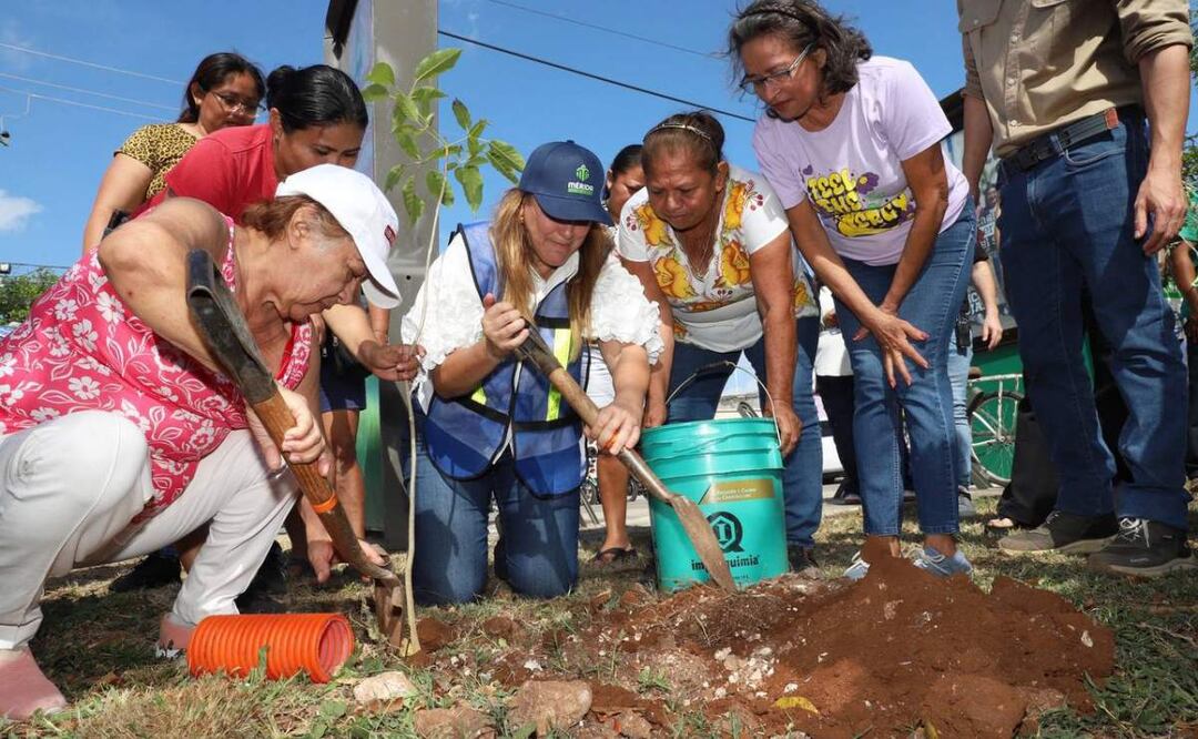 Entre el 15 de junio y el 16 de julio, se realizará la Cruzada Forestal 2025, en la que se van a plantar 8 mil 500 árboles en 18 días en distintos puntos de Mérida, Yucatán (03/06/2025). Foto: Especial