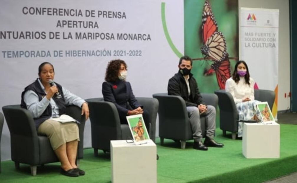 Reabrirán 2 santuarios de mariposas Monarca con aforo de 70% en Toluca