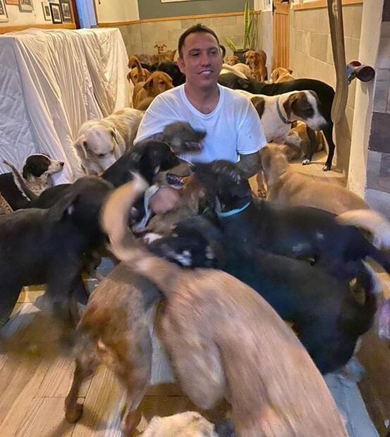 Hombre resguarda a 300 perros callejeros en su casa por huracán "Delta"