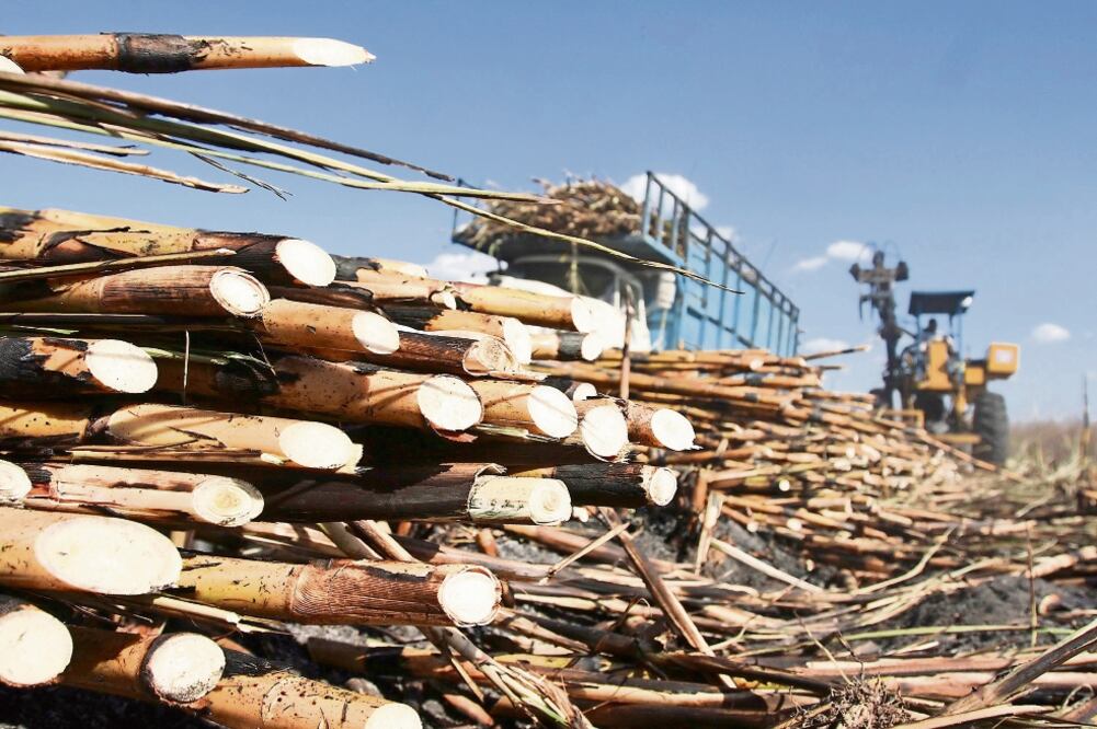 Entre los puntos que establece el acuerdo está el de la reducción de la calidad del azúcar refinada mexicana que se exporta a EU (ARCHIVO EL UNIVERSAL)